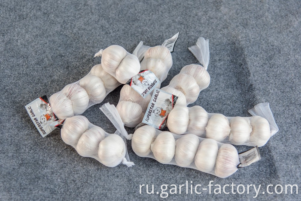 factory directly supply top grade fresh garlic